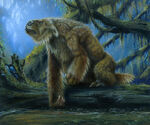 Giant Ground Sloth