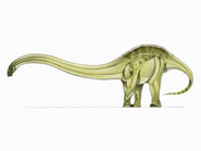 JPI Omeisaurus