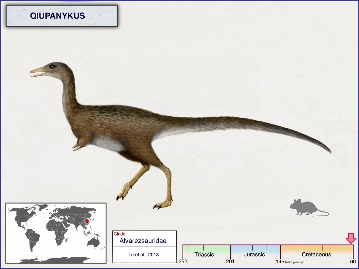 Qiupanykus Dinopedia Fandom