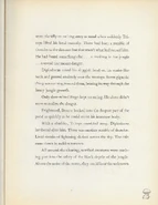 Scan174757662.jpg (479 KB)