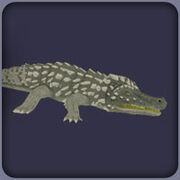 Zt2 Deinosuchus