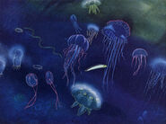 RoSp202.jpg (484 KB)