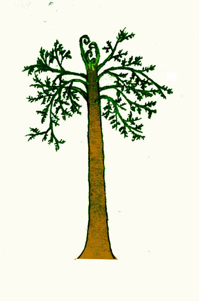 Aneurophyton