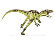 Caseosaurus