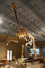 Gigantoraptor