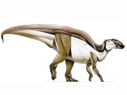 Gryposaurus