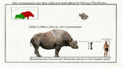 Elasmotherium short horned giant by themodes deuxami-fullview