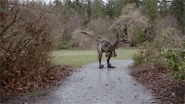 Dracorex as portrayed in Primeval