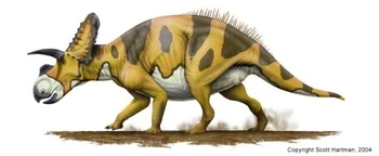 Ceratopsian-1-