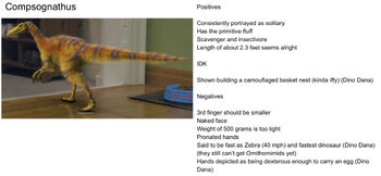 DinoDan CompyProfile