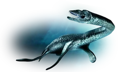 Plesiosaurus Dinopedia Fandom