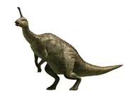 Tsintaosaurus