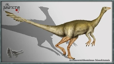 Archaeornithomimus-karkemish00