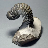 E90bb11f-b879-4f44-be63-f324aac9e92b.jpg (66 KB)