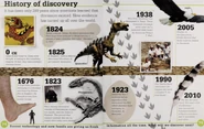 History of discovery.png (742 KB)