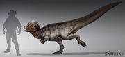 PachycephalosaurusSize