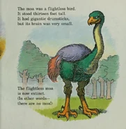 C3350ADA-7BF2-4C61-9B45-C74B387024FE.jpeg (68 KB)