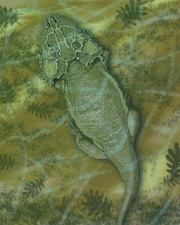 Chalcosaurus lukjanovae.