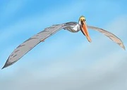 Life reconstruction of Istiodactylus