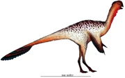 Restoration of Nankangia jiangxiensis