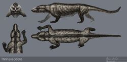 Animal Armageddon | Dinopedia | Fandom Animal Armageddon | Dinopedia | Fandom