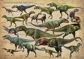 Tyrannosauroid species.jpg