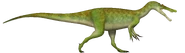 Protathlitis reconstruction