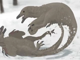 Stenonychosaurus