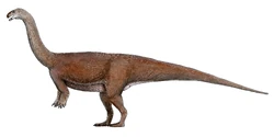 A restoration of Glacialisaurus