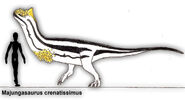 Majungasaurus crenatissimus by plastospleen-d8jfiig