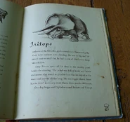 01738.6L.jpg (148 KB)