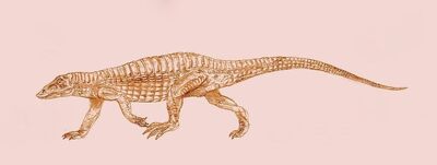 Aetosaurus by Kahless28.jpg