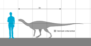 Size Comparison of Talenkauen santacrucensis