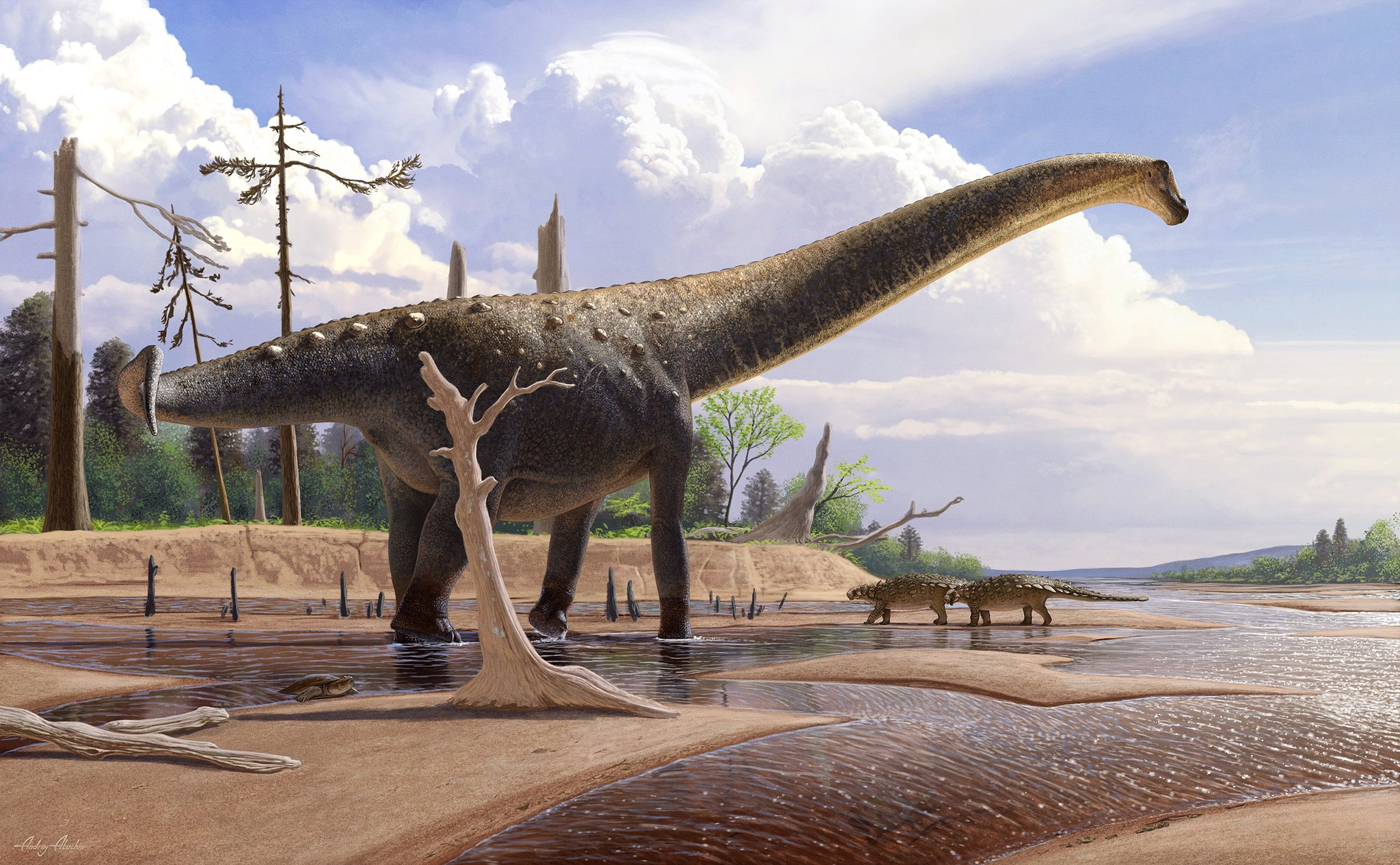 Длинношеий динозавр. Титанозавр зауропод. Травоядные динозавры зауроподы. Атучин палеоарт.