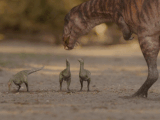 Masiakasaurus