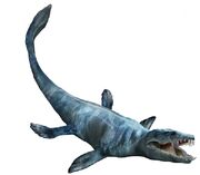 Mosasaurus hoffmannii