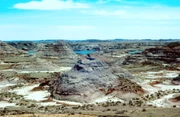 Hell Creek Formation picture