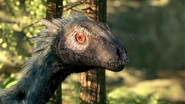 MotD Patch the Troodon.png (1.18 MB) Patch the Troodon