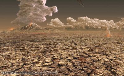 Permian-triassic extinction event 1