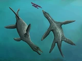 Acostasaurus