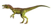 Eoraptor profile new c6uvzj