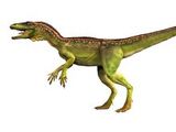 Eoraptor