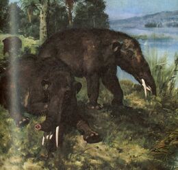 Gomphotherium