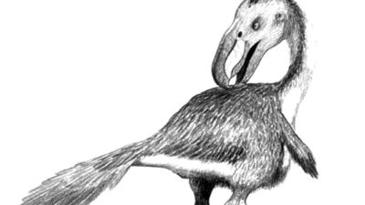 Discuss Everything About Dinopedia Fandom