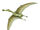 Araripesaurus