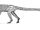 Dromicosuchus