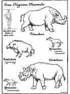 Sometimes pronounced as Titanotherium.