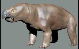 Awjqwıjwejqk