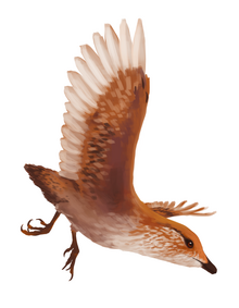 Abavornis