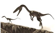 Coelophysis raul martin